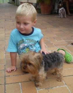 Nico Forno D'Adamo and a tiny Yorkie enjoy the Sundae Funday at Polly's at the Pier. Nico Forno D'Adamo and a tiny Yorkie enjoy the Sundae Funday at Polly's at the Pier.
